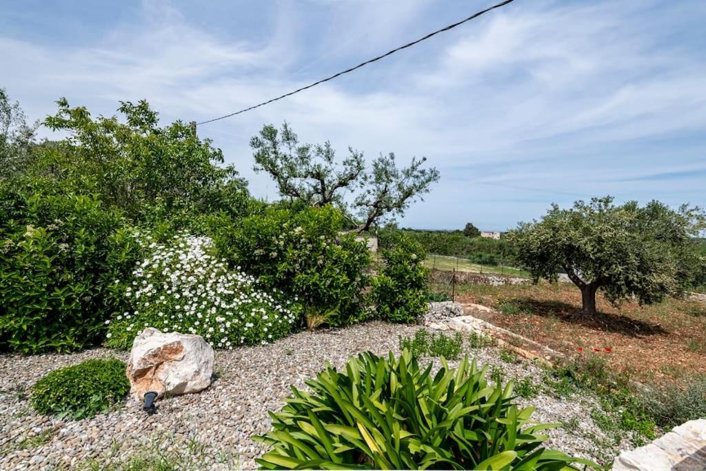 Trullo Oasi Santo Stefano - Private Pool Villa Castellana Grotte Eksteriør bilde